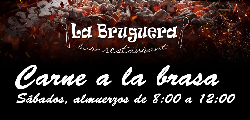 Carne brasa